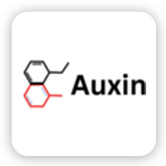 Auxin